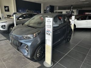 DR Automobiles   dr 1.0 EV